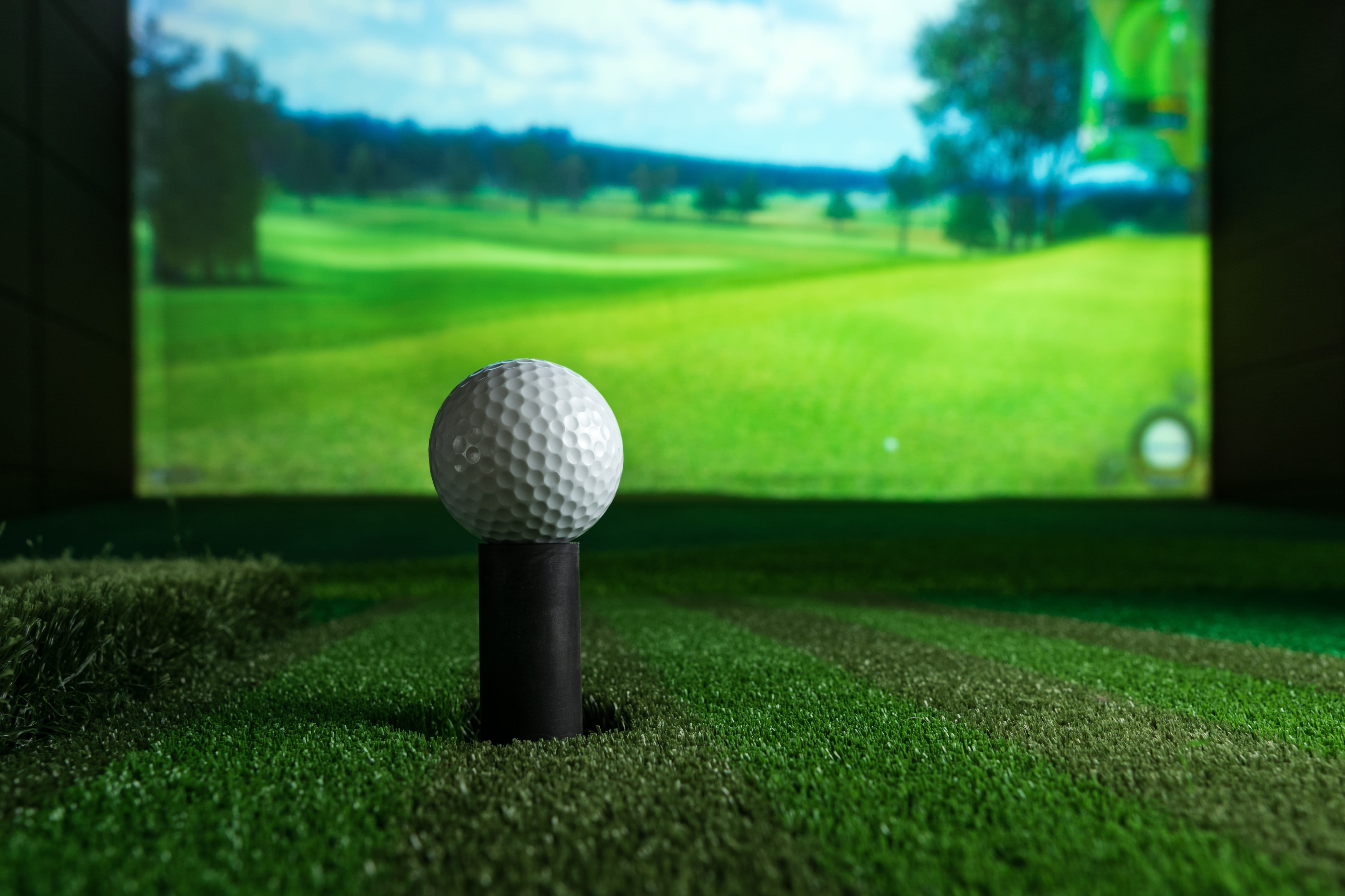 Grip It Virtual Golf and Bar - Photo 3